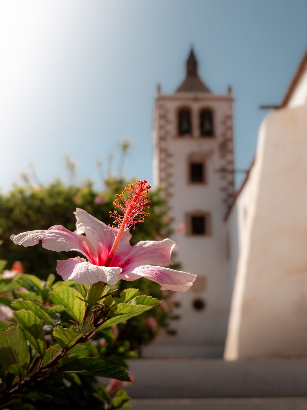 Fuerteventura Lightroom Preset – Nachher
